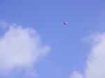 DSC00172.JPG
