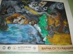 3_DSC03884_dev.JPG