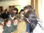 3_DSC00599_dev.JPG