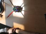 9_IMG_0918_dev.JPG