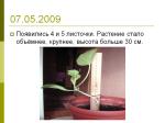Slide13.PNG
