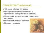 Slide4.PNG