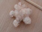 P1090552-%E2%80%93-kopie.jpg