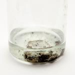 silver-dendrite-1.jpg