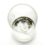 silver-dendrite-21.jpg