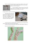 Troitsk+KSClub-2.jpg